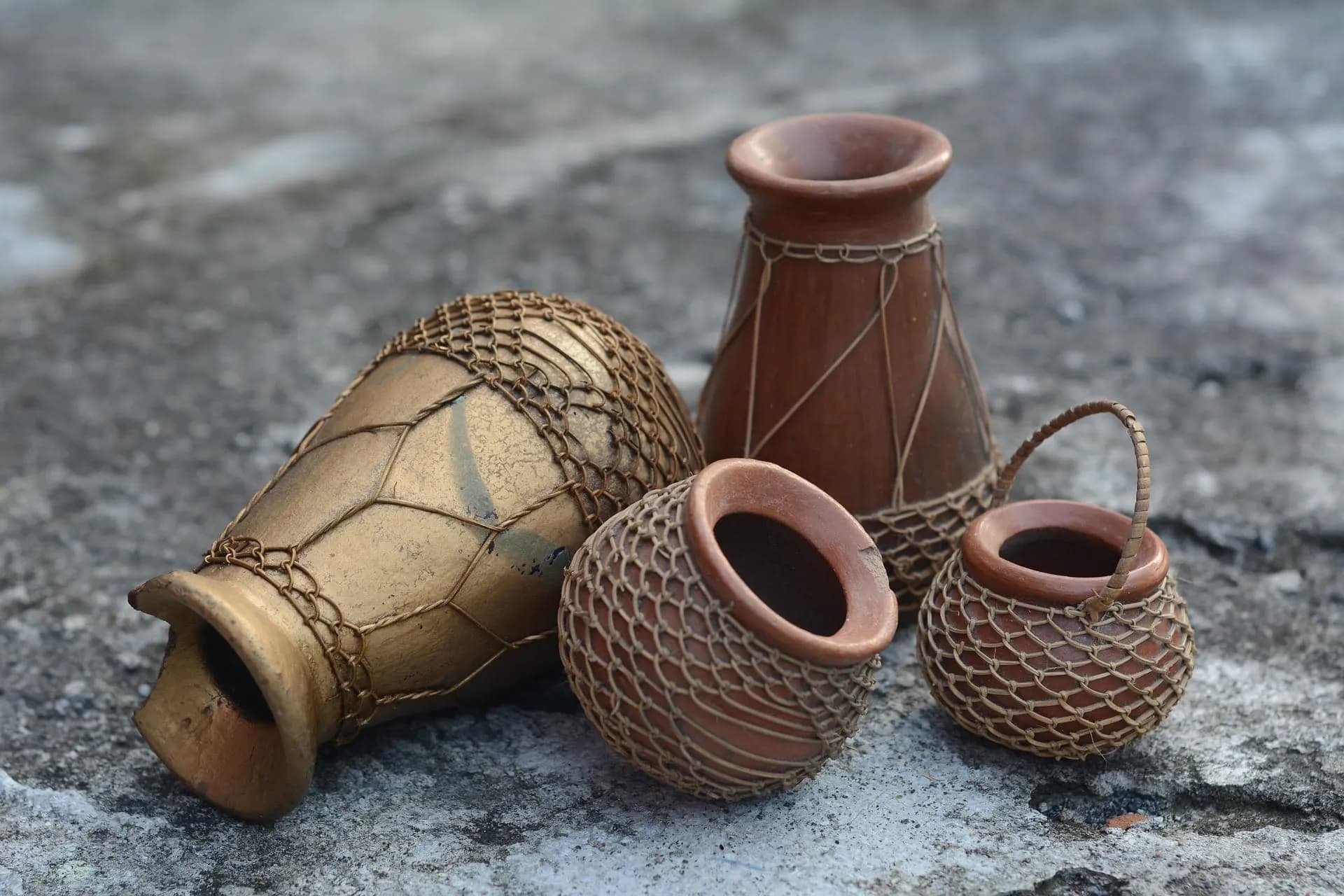 Whisky Jars